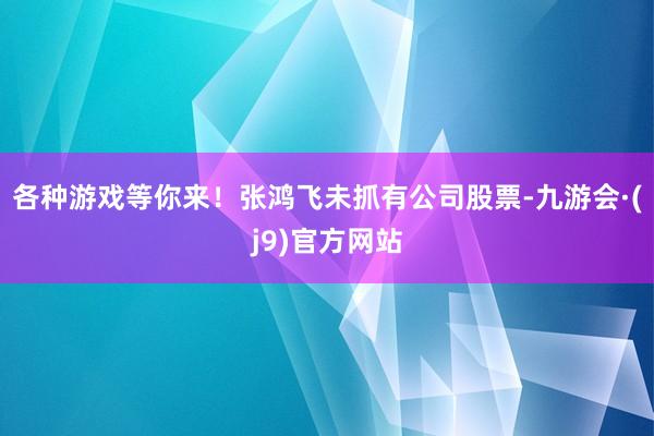 各种游戏等你来！张鸿飞未抓有公司股票-九游会·(j9)官方网站