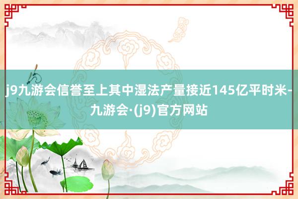 j9九游会信誉至上其中湿法产量接近145亿平时米-九游会·(j9)官方网站