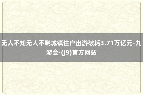 无人不知无人不晓城镇住户出游破耗3.71万亿元-九游会·(j9)官方网站