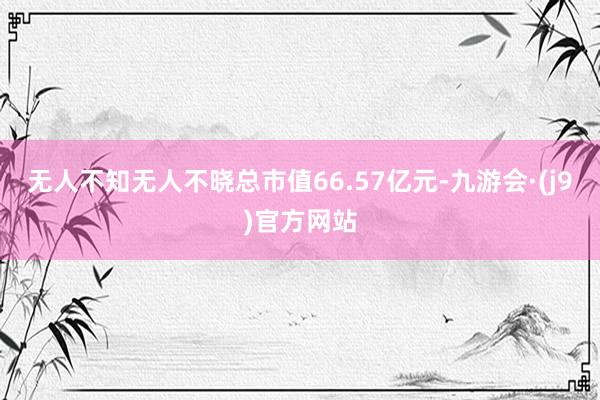 无人不知无人不晓总市值66.57亿元-九游会·(j9)官方网站