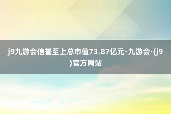 j9九游会信誉至上总市值73.87亿元-九游会·(j9)官方网站